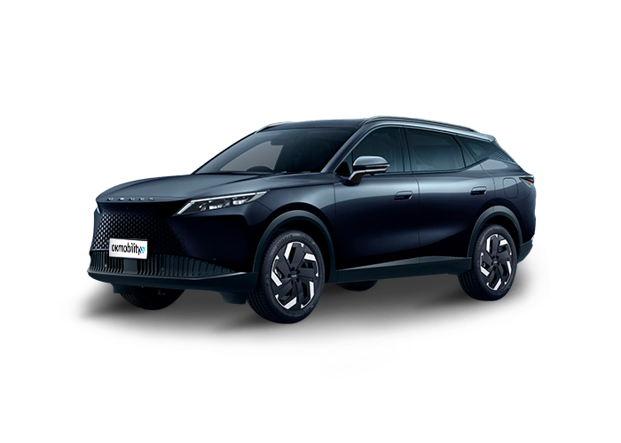 Omoda 7