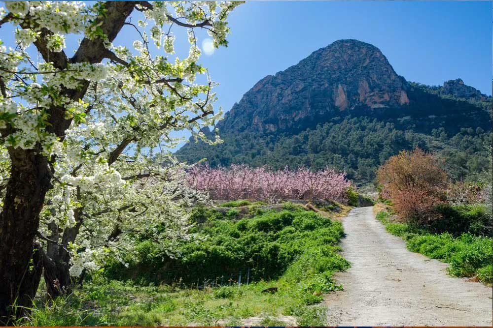 Road trip through the agricultural hinterland of Murcia