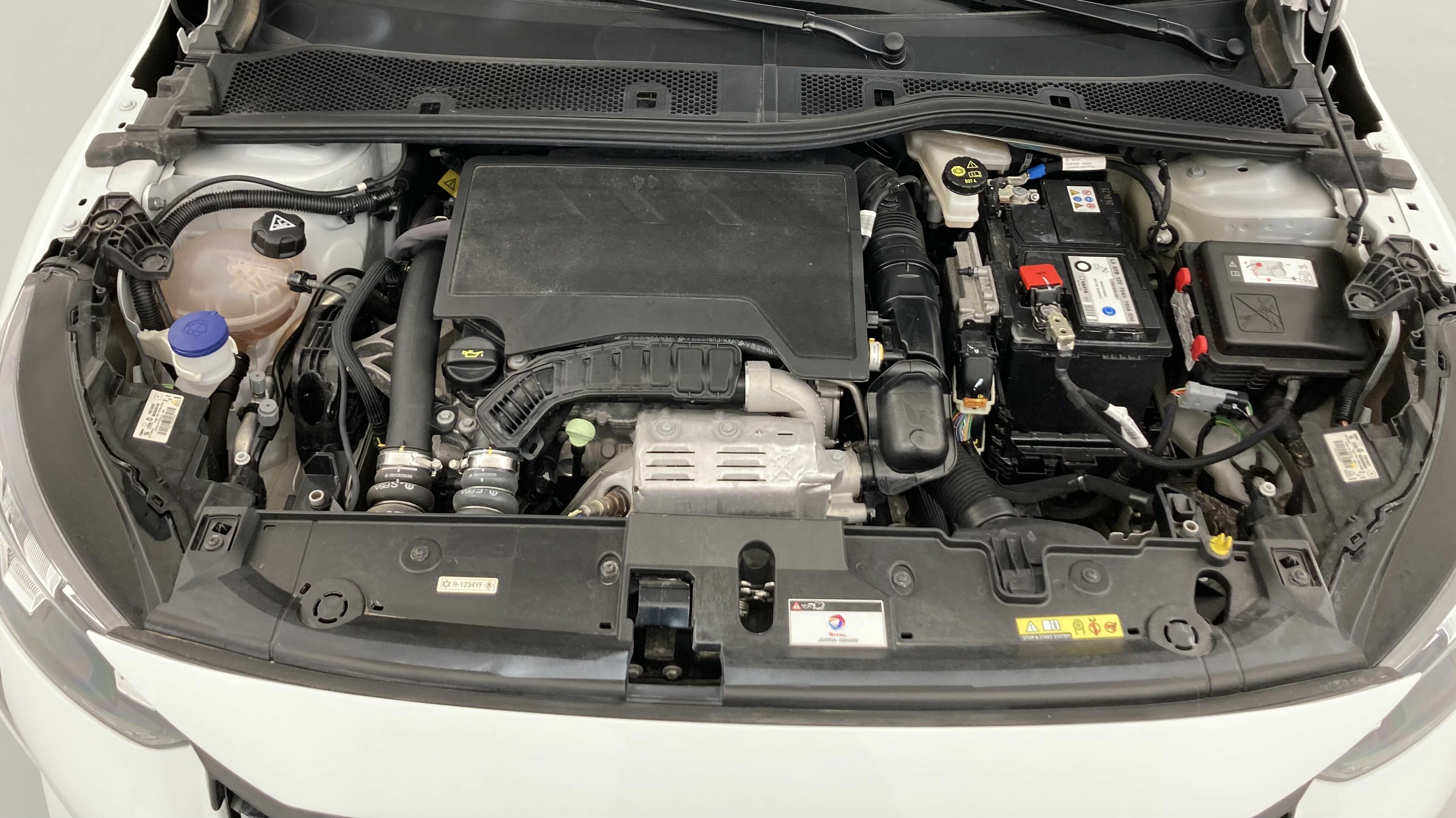 peugeot 208 allure 1.2 PURETECH 100 2024 blanco banquise 19